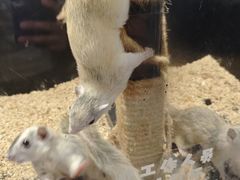 -太平洋海底世界