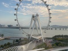 -深圳前海华侨城JW万豪酒店光之翼·港湾尚膳