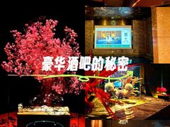 -索拉古贝(义乌北苑店)