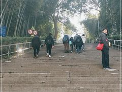 -上海佘山国家森林公园西佘山园