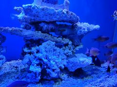 -太平洋海底世界