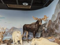 -陕西自然博物馆