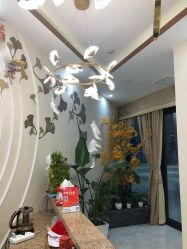 -芳朵美容养生SPA