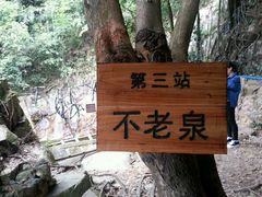 -天门沟九州驿站树上汤泉