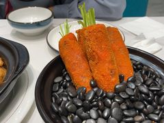-丁老爷子苏香圆