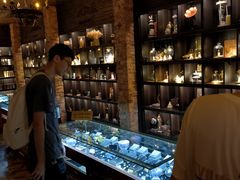 -雪灵魔法世界SHELLY’S TAROT(大良桂畔里店)
