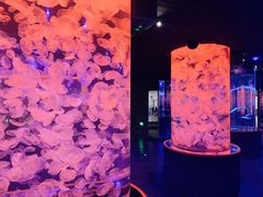 -杭州长乔极地海洋公园
