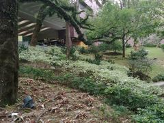 -珠海拱北口岸