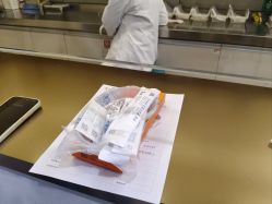 -云南吴氏嘉美医疗美容医院