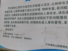 -芒洲湿地公园