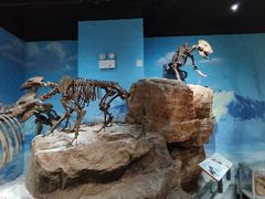 -正佳自然科学博物馆