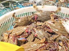 -恒达综合农贸市场(黄山路店)