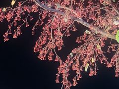 -朝族高丽火盆(长白山总店)