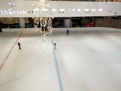 -TheRink大零溜冰场(IFS国金中心店)