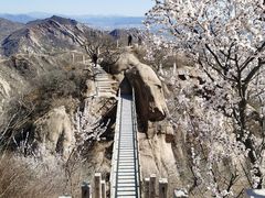 -北京凤凰岭