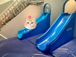 -北京科学中心儿童乐园