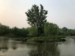-东郊湿地公园