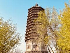 -玲珑塔公园
