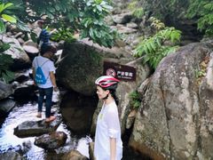 -呀诺达热带雨林
