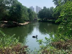 -长白岛森林公园