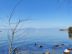 -捞渔河湿地公园