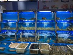 水产区-桔子海鲜烧烤大排档(金沙滩店)