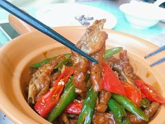 -大树餐厅(红旗街万达店)