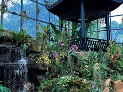 -东莞植物园