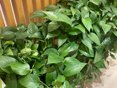 -智慧盲人按摩艾灸-颈肩腰膝疼痛调理(浦东店)