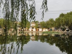 -百花洲