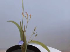 -张一元茶庄(望京店)