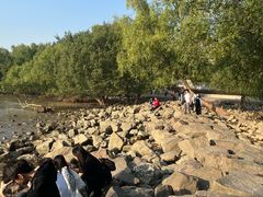 -宝安西湾红树林湿地公园