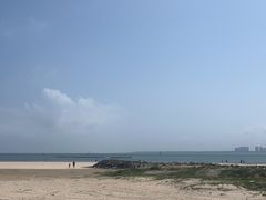 -东郊椰林