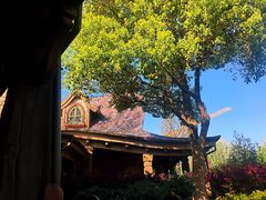 -Tangled Tree Tavern 老藤树食栈