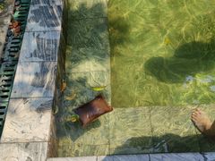 -英德宝晶宫天鹅湖茶语温泉