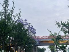 -桂溪生态公园