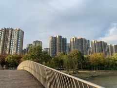 -南翔镇银翔湖公园