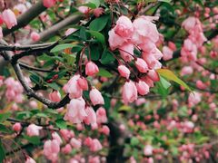 -白塘生态植物园