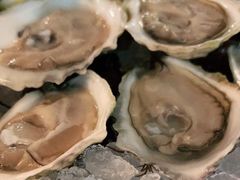 -db Bistro & Oyster Bar by Daniel Boulud(滨海湾金沙店)