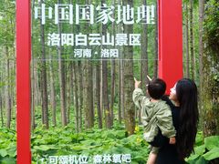 -洛阳白云山景区