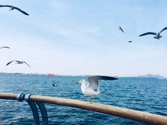 -东港音乐喷泉广场