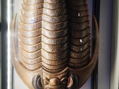 -贝林大翅鲸简餐厅(国家海洋博物馆店)