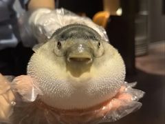 -肆月河豚·淮扬菜·湘菜(华天店)