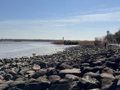-上海吴淞炮台湾国家湿地公园