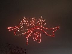 -荷兰花海