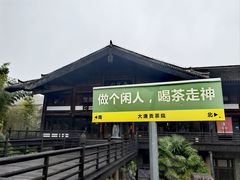 -大唐贡茶院