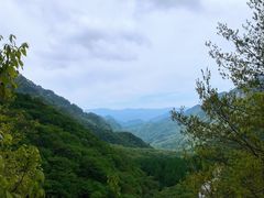 -秦岭风景区