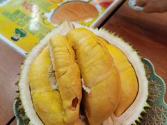 -都念榴莲·城市榴莲