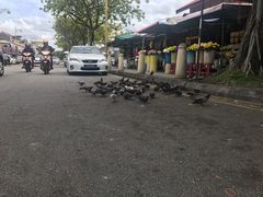 -槟城街头艺术街区