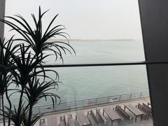 -抱抱地球咖啡馆(国家海洋博物馆店)